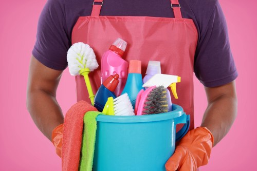 Professional domestic cleaning for homes in Swiss Cottage