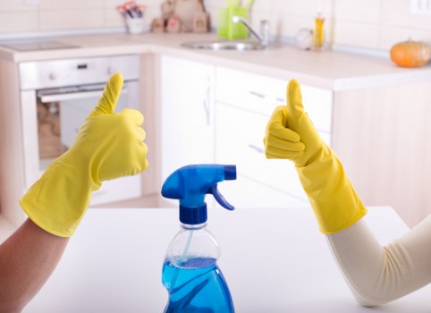 Reliable domestic cleaning for flats and houses in Swiss Cottage