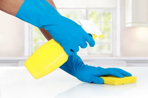 Local cleaner working in a Swisscottage property near the end of tenancy