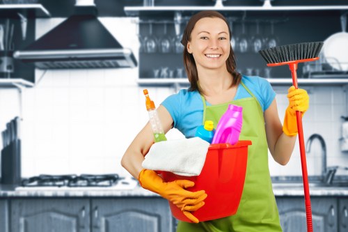 Modern kitchen oven cleaning service in Swiss Cottage
