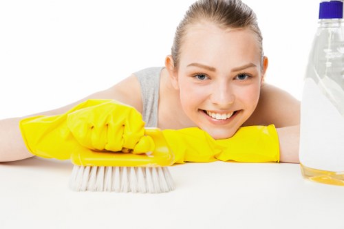 Upholstery cleaning for sofas near Swisscottage apartments and offices