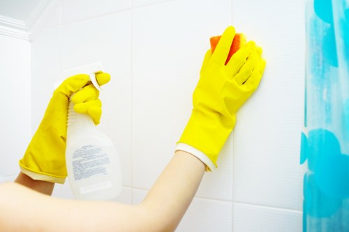 Detailed move out cleaning in a Swisscottage bathroom