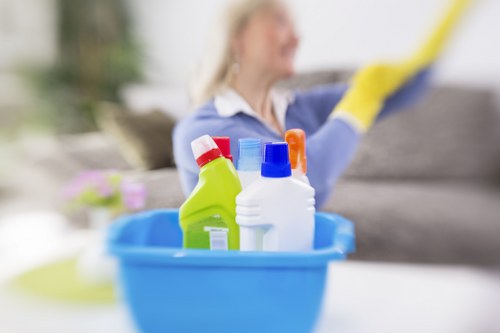 Specialist cleaning equipment used for pet stain odour removal in Swisscottage