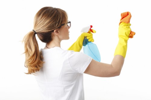 Professional carpet cleaning for a busy Swisscottage property