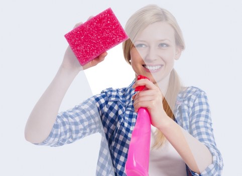 Upholstery stain treatment during a furniture cleaning visit