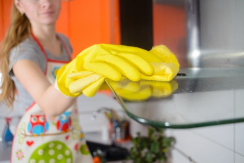 Mattress cleaning for apartments and rental properties in Swisscottage