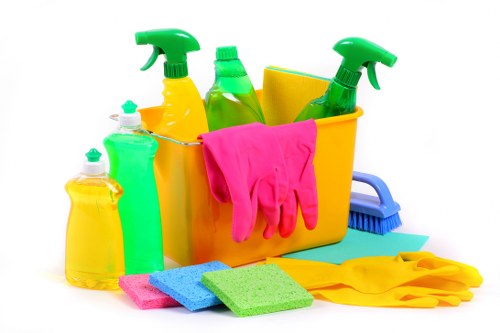 Deep cleaning process for area rugs and runners in Swisscottage