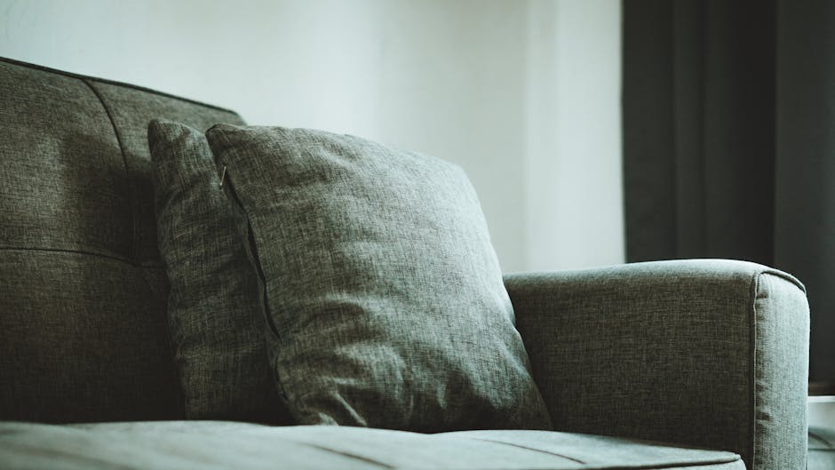Close-up of a well-maintained, dark gray upholstered sofa with two matching cushions, situated in a living room with natural daylight illuminating the scene. The sofa’s fabric appears clean and dust